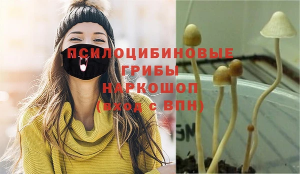спиды Беломорск