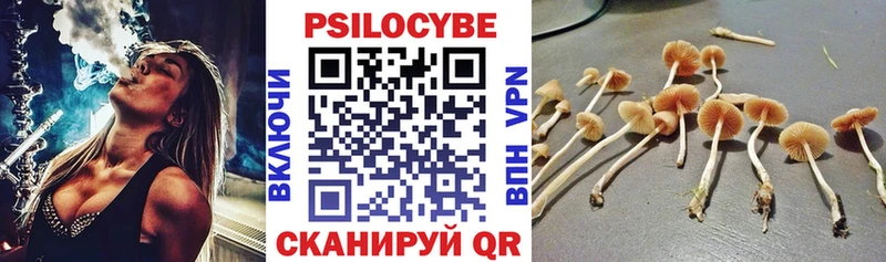 Псилоцибиновые грибы прущие грибы Вяземский